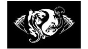 Dragon Tao Kung Fu