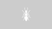 Pest Control Quakers Hill