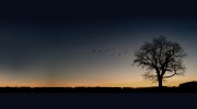 Blue Wren Therapy