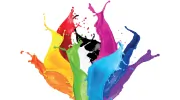 Painting Solutions