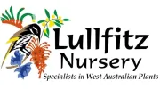 Lullfitz Nursey