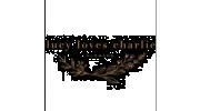 Lucy Loves Charlie
