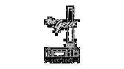The Greek