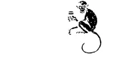 Brass Monkey Hotel
