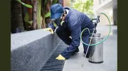 Western AllPest Services
