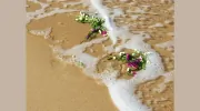 Barefoot Funerals
