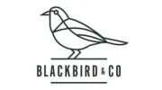 Blackbird