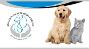 Macarthur Veterinary Group