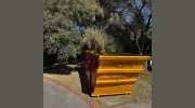 Southern Skips