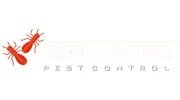 Termite Solutions Victoria