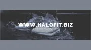 Halo Fitness