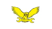 Auto Owls