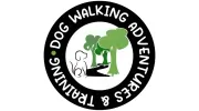 Dog Walking Adventures
