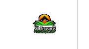 All Seasons Synthetic Turf