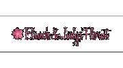 Bunch & Judy's Florist