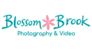 Blossom Brook Studio