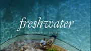 Freshwater East Kimberley Apartments
