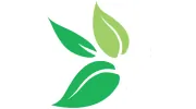 Zest Natural Therapies