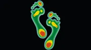 Foot Systems