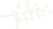 Thirroul Natural Healing Centre