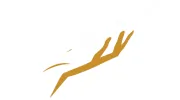 Unwind Mobile Massage & Clinic