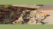 YellowGum Design