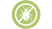 The Pest Bully