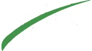 YS Cleaning Services