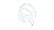 David Douglas Accountants