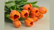 Floral Art