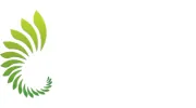 Suncoast Dental