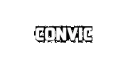 Convic Skateparks