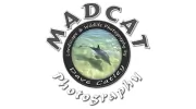 MADCAT Photography