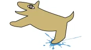 Croydon Veterinary Clinic