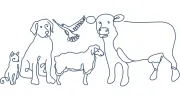 Ararat Veterinary Clinic