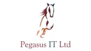 Pegasus IT Solutions