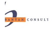 Banyan Consulting