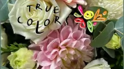 True Colors Florist