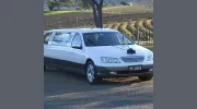 Newcastle Limousines