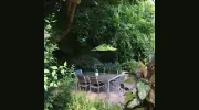 Edge Of The Forest