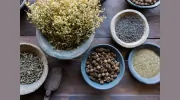 Kate's Naturopathy