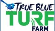 True Blue Turf