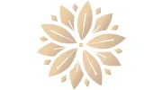 Belinda Tran Acupuncture