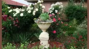 Admurraya House Bed & Breakfast