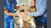 Kingsley Veterinary Hospital