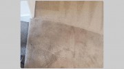 Carpet Cleaning New Farm
