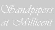 Sandpipers at Millicent
