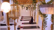 Tree Pose Yoga