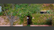 Cottesloe Counselling Centre