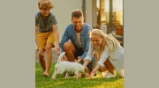 Strategic Insurance Services